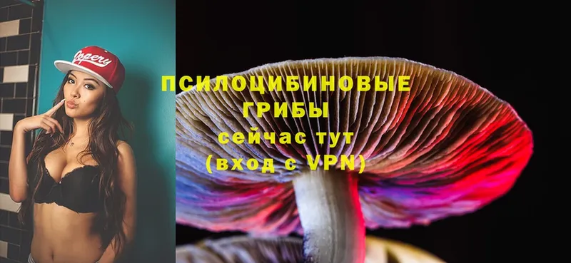 Псилоцибиновые грибы MAGIC MUSHROOMS  наркошоп  Губкин 